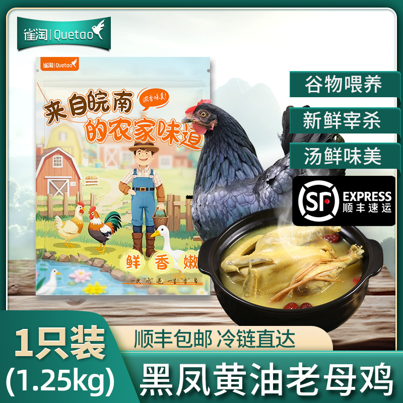 【苏鲜生推荐】雀淘 皖南黑凤黄油老母鸡2.6-2.9斤/只 1只装 新鲜现杀冷冻净膛慢养走地鸡