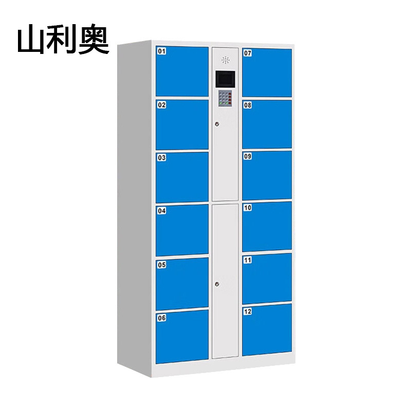 山利奥 智能储物柜 12门 台