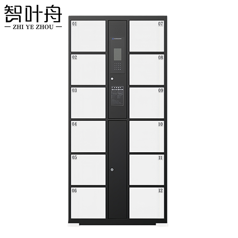 智叶舟智能储物柜人脸识别12门850*460*1800mm台高清大图