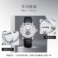 海鸥表(SEAGULL)手表 男 飞轮系列 休闲 时尚 自动机械表 男士手表819.317 白盘日历