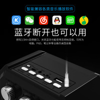 MALATA万利达x13广场舞音响户外便携式蓝牙音箱 网红小型室外移动手提大功率 老人家用低音炮插卡小音箱 K歌话筒