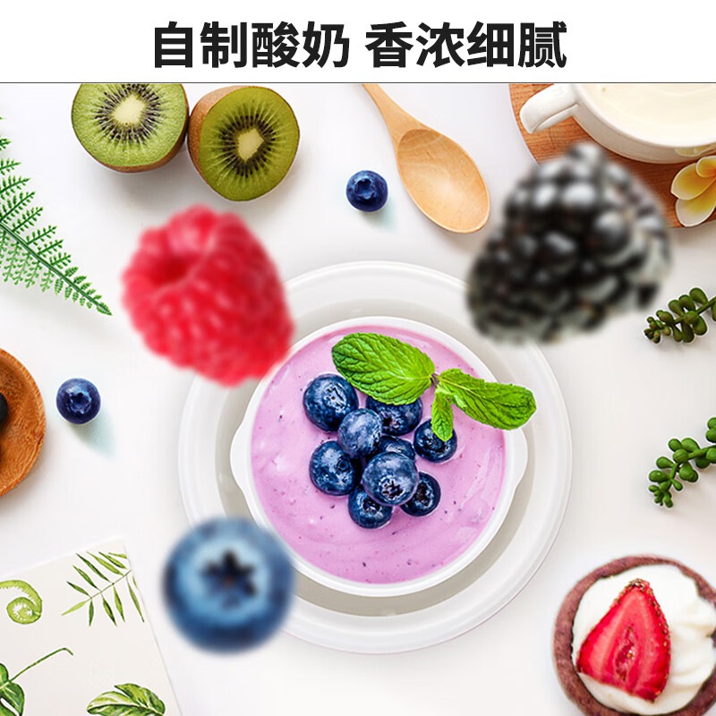 九阳 家用全自动小型酸奶机精准控温 SN10J91 10j91高清大图