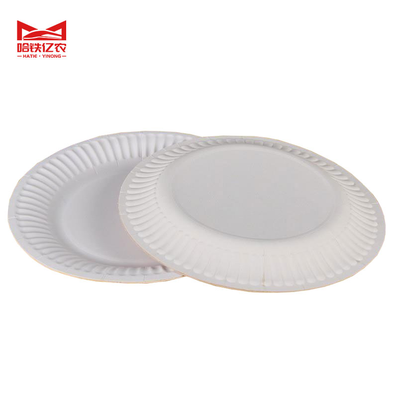 哈铁亿农 一次性餐盘纸浆餐盘可降解 6寸 50个/包高清大图