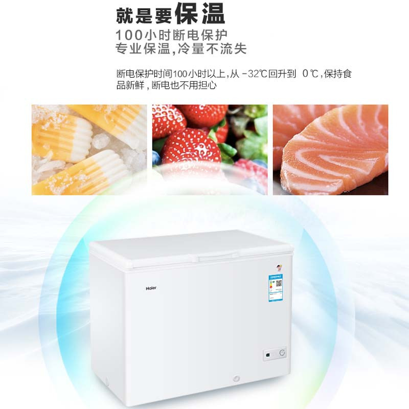 海尔(Haier)卧式冷柜 BC/BD-316HBZ大富豪系列 顶开门单温