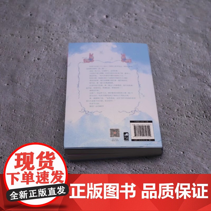 兔子的回礼:全二册 人气青春作家关抒耳口碑之作 夏天无从抵赖同系列校园暗恋文 心机忠犬少年 林一砚vs古灵精怪美少女 时高清大图