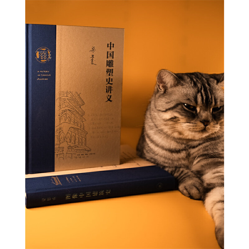 [正版] 中国雕塑史讲义 梁思成 梁思成作品。一份20世纪30年代的中国雕塑史讲义,一次关 生活读书新知三联书店 书籍
