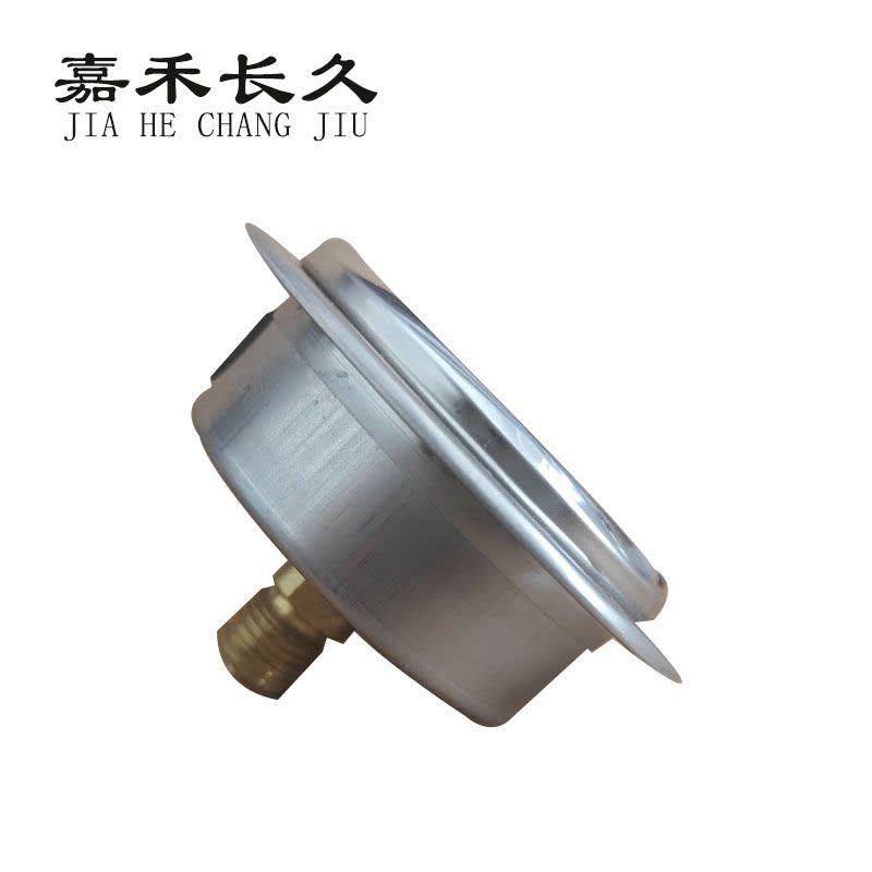 嘉禾长久 耐震压力表轴向带边检测型 YTN60ZT 块图片