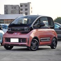全款 E300 新能源