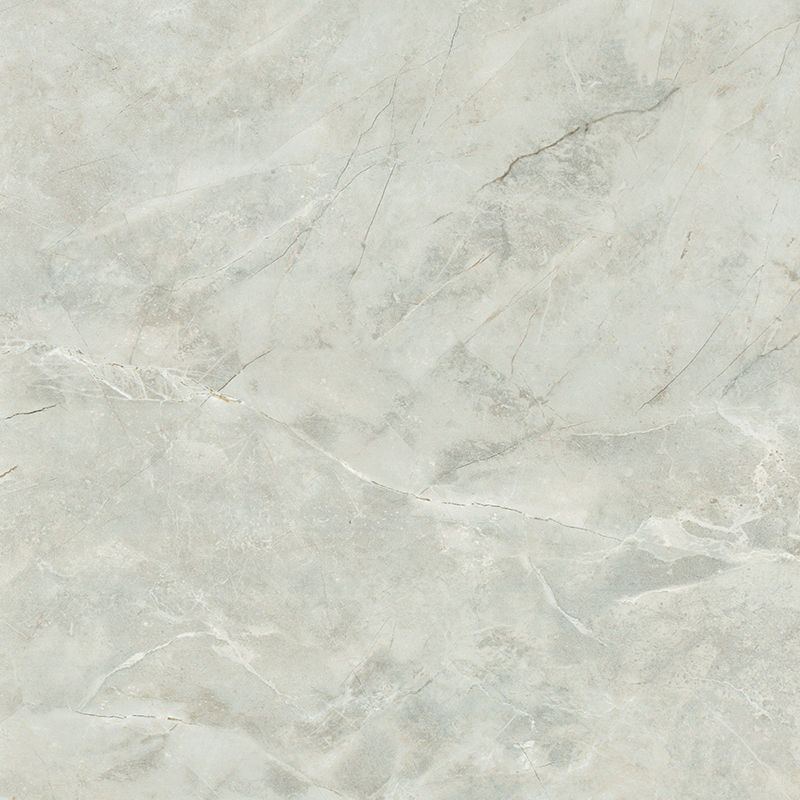 蒙娜丽莎瓷砖客厅地砖800