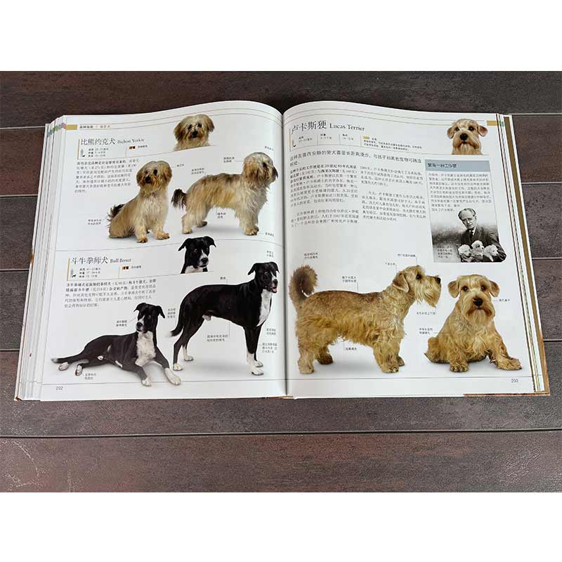 [醉染正版]dk狗百科 名犬百科 科学饲养 养狗全攻略书籍 宠物狗图鉴大全 懒人养宠速成手册 狗狗大百科 饲养狗狗书籍高清大图