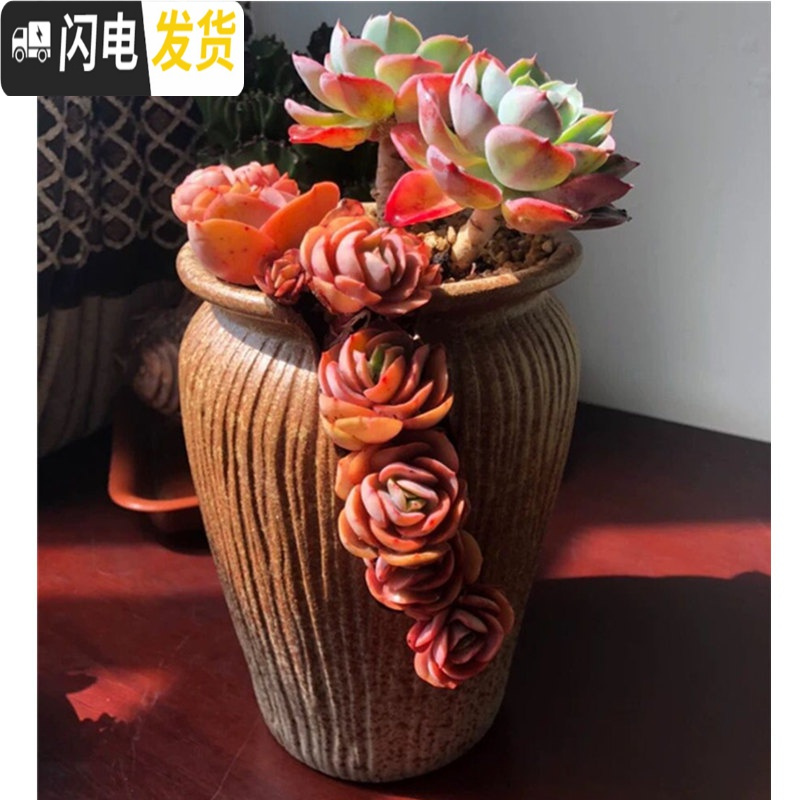 三维工匠特大号陶罐陶瓷复古老桩花盆法师粗陶创意个性植物肉肉大多肉花盆 造物老庄盆-29 特大花盆容器