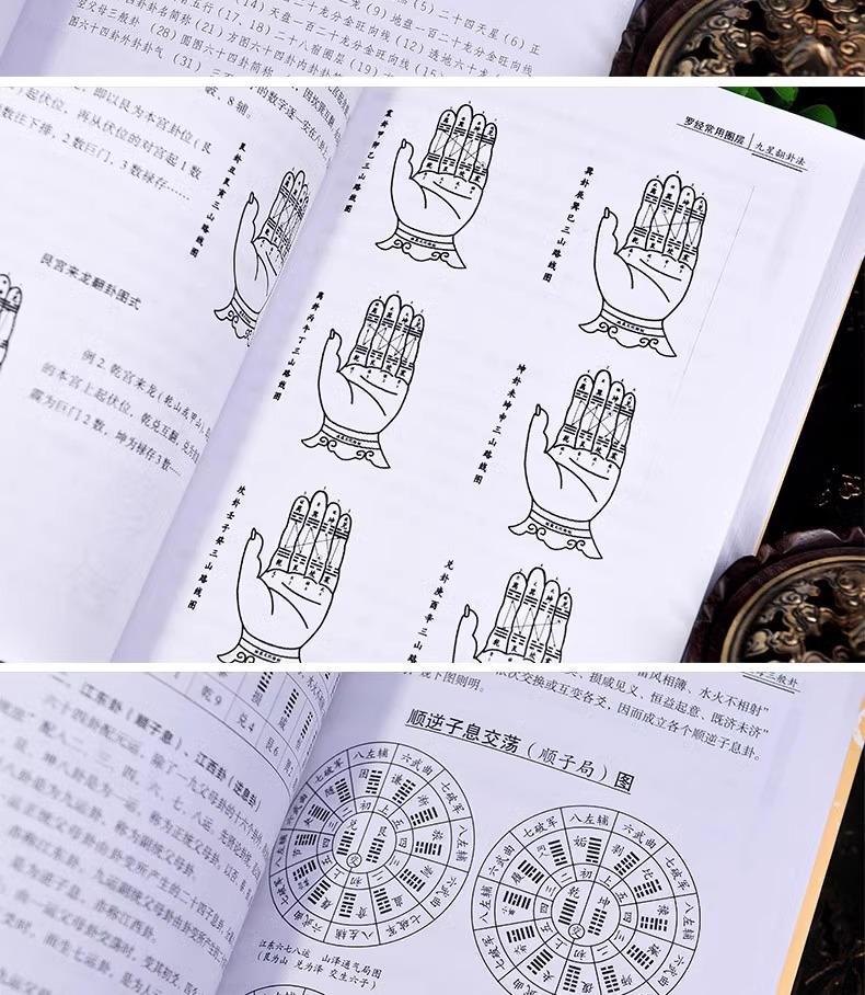 [正版] 图解图注精解罗经三十六层36层详解 如何看罗盘使用说明书指南方法 罗经透解钦定罗经解定 三元盘易卦盘圈层解读高清大图