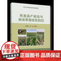 正版 燕麦高产栽培与病虫草害绿色防控 王凤梧 连冰主编 中国农业大学出版社店9787565531国凤