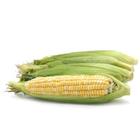 水果玉米5斤 7-9个 甜玉米 新鲜蔬菜 产发QQ