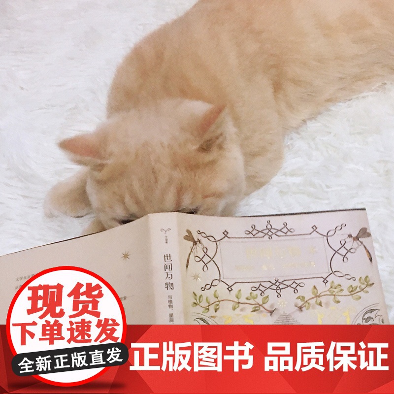 正版图书 世间万物:与植物、星辰、动物的相遇 守望者 物灵书系 南京大学出版社 ND高清大图