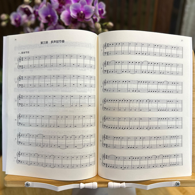[正版]玩转节奏 从启蒙到进阶节奏训练 音乐节奏基础启蒙课程教学指导 成人学生音乐入门到进阶音符节奏训练辅导用书 音乐高清大图