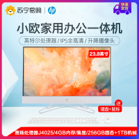 惠普HP小欧高清一体机电脑23.8英寸因特尔双核4G内存256G固态1TB机械集成显卡无线蓝牙三年上门IPS高色域