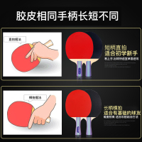 红双喜(DHS)乒乓球拍 双拍初学级兵乓拍对拍学生儿童娱乐拍乒乓球拍套/包