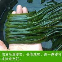 赛卡伊 当季新货 盐渍海带丝整箱批发海菜凉拌小菜火锅
