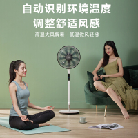 美的(Midea)家用风扇美的SDD35PE落地扇风随温变九叶大风量电风扇直流变频智能遥控家用定时风扇