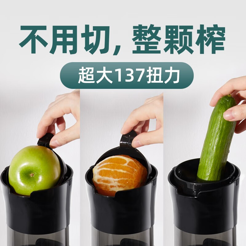 磨客(MOKKOM)榨汁机汁渣分离原汁机家用全自动渣汁慢磨大口径炸果汁MK-199-L 墨绿色
