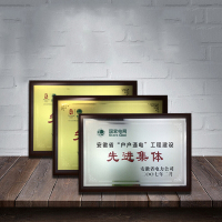得力( 奖牌荣誉牌牌匾授权奖牌定制定做实木木托铜牌代理牌金属荣誉证书定制
