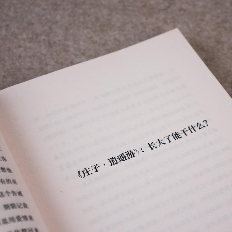 [正版]张一南北大国文课张一南普通大众国学通俗读物辞典与工具书书籍高清大图