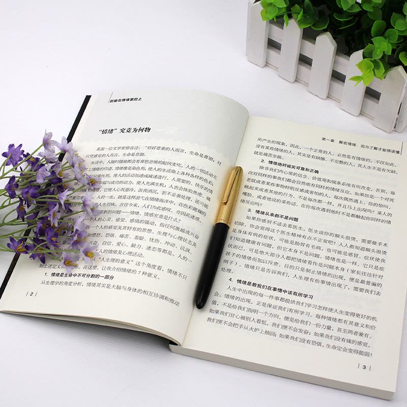 [醉染正版]别输在情绪掌控上 提高自控力调整心态控制情绪的书 如何控制自己的情绪智者从来不会输给情绪管理心理学心灵与修养图片