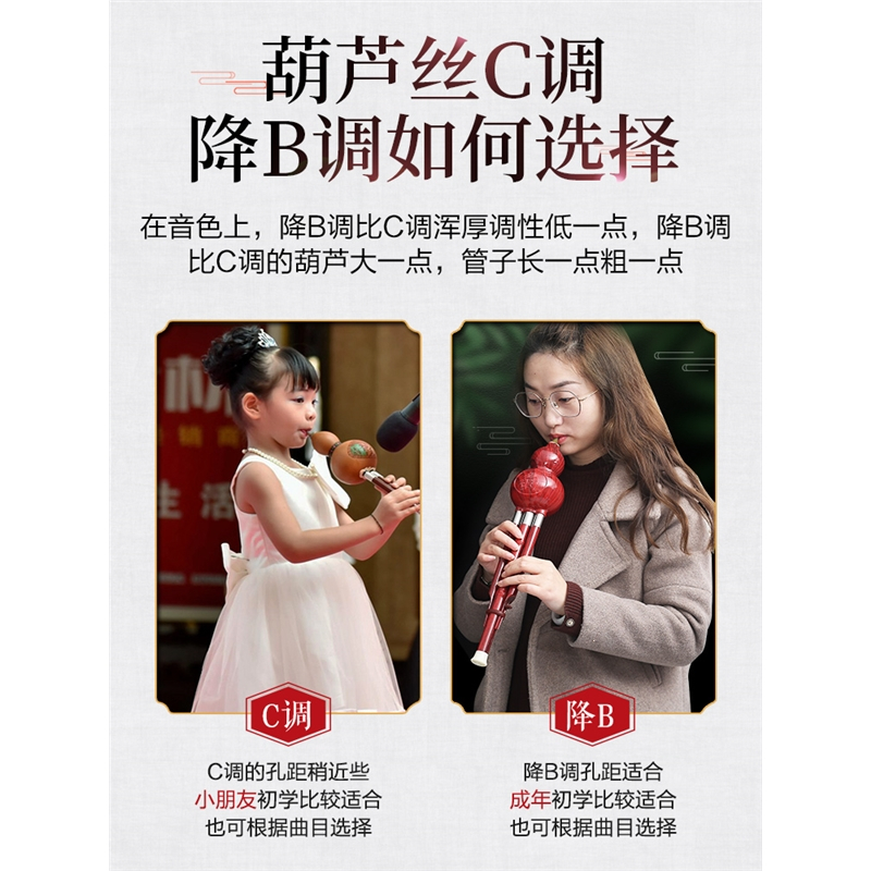民族葫芦丝乐器初学者儿童C调降B调小学生专业演奏型胡芦丝成人