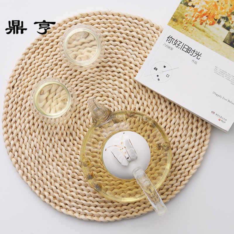 鼎亨北欧简约陶瓷玻璃花茶壶水果茶壶套装下午茶茶杯水果花果茶壶