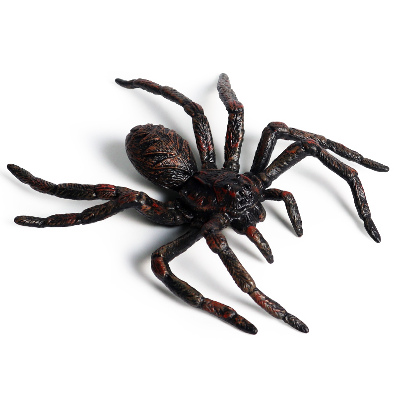 仿真动物模型玩具摆件塑胶实心蜘蛛恶搞整蛊吓人黑寡妇蜘蛛昆虫