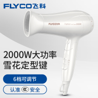 飞科（FLYCO）2000W电吹风机家用冷热风大功率吹风筒大风可折叠 FH6232