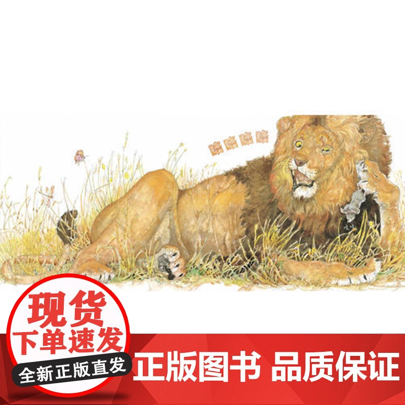 [ 正版童书]森林鱼童书:狮子和老鼠(凯迪克金奖,让孩子懂得友谊、宽容、感恩,经典版本)高清大图