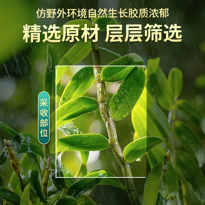 [买1发2共1000ml送礼袋]北京同仁堂内廷上用云南铁皮石斛霍山铁皮石斛原浆500ml旗舰店官方正品铁皮石斛饮送礼盒袋高清大图