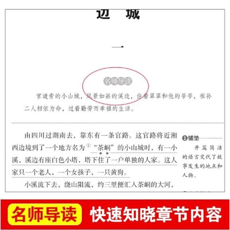 正版 边城 沈从文 著 立人主编 小学高年级初中七八九年级课外阅读 名师导读点评无障碍阅读 天地出版社