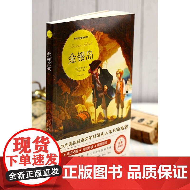 金银岛 正版原著完整版世界文学名著拓展阅读名师导读版必小学生三四五六年级课外书籍阅读上下册青少年儿童文学故事读物正版高清大图