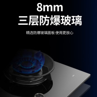 樱花(SAKURA)燃气灶 5.0KW 全铜火盖 零秒点火 台嵌两用一级能效灶台 煤气灶具 JZY-GC01液化气