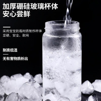 伯乐马LD-530B便携式充电款榨汁机家用水果小型充电榨汁杯瓷白