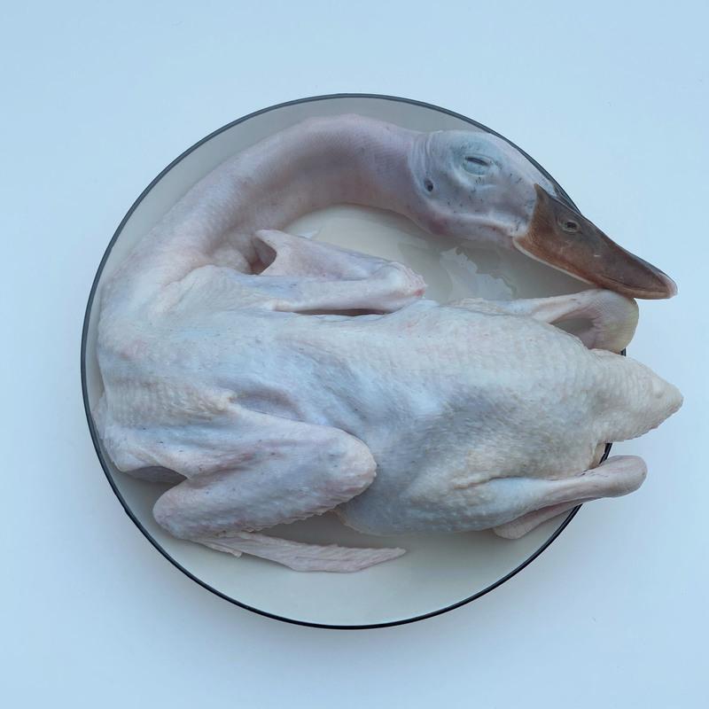 老鸭,水鸭,整鸭活体现杀全国顺丰 广东省 爆款尝鲜小水鸭/只-送赠品