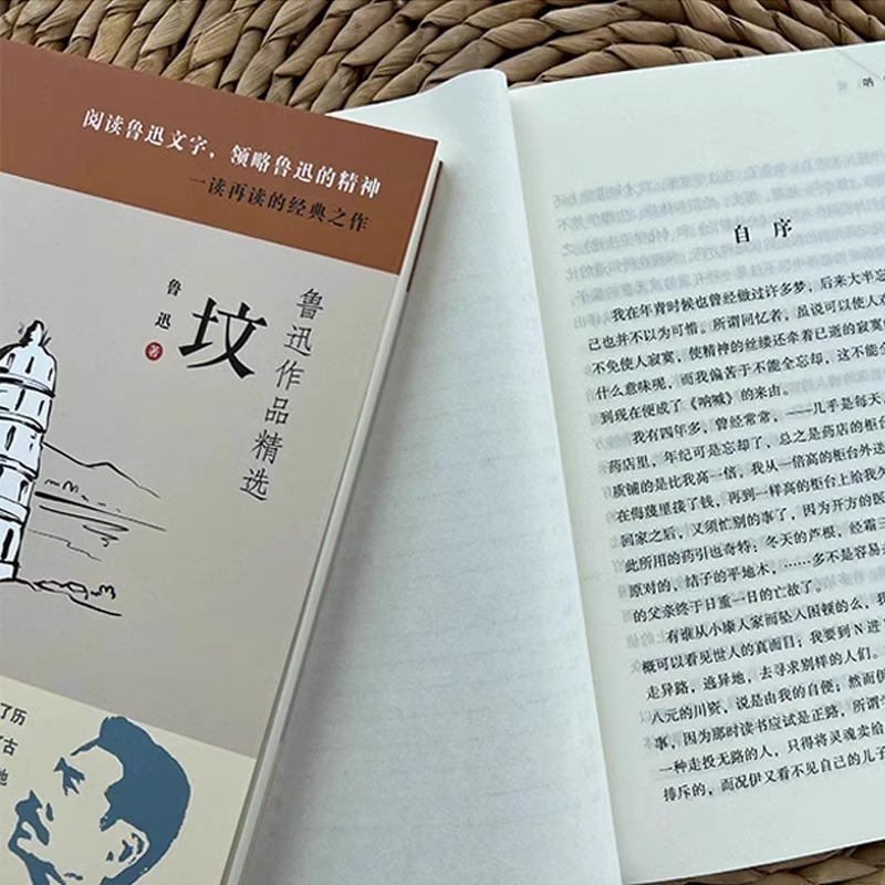 鲁迅作品精选(全十册) [正版]鲁迅作品精选全十册 朝花夕拾呐喊狂人日记华盖集坟花边文学野草 现当代文学散文随笔 经典全高清大图