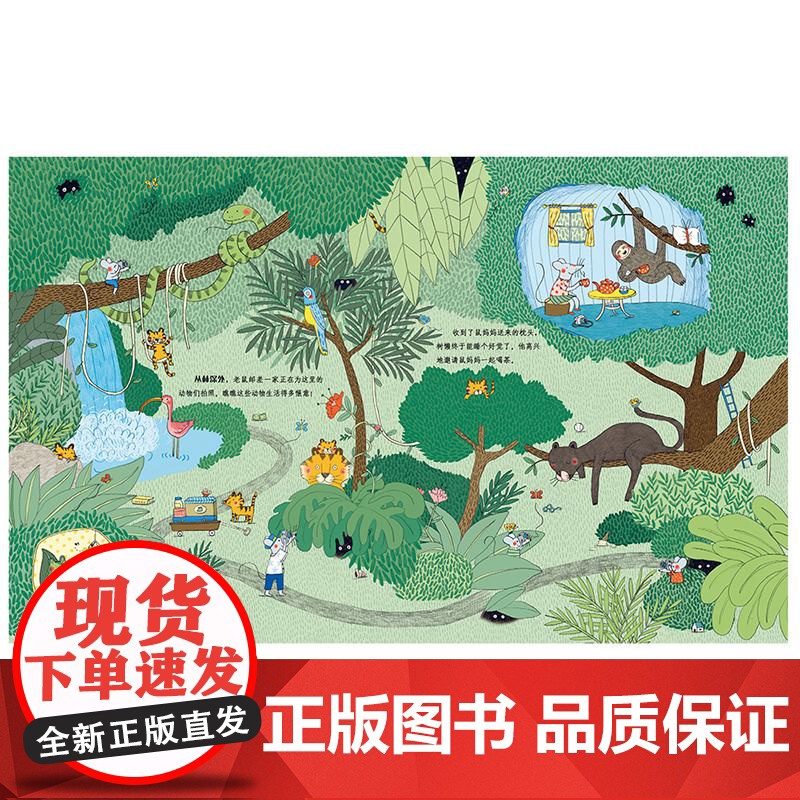 老鼠邮差去度假 玛丽安娜迪比克花山文艺出版社有限责任公司正版儿童文学读物儿童早教故事绘本高清大图