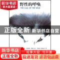 野性的呼唤/经典名著延伸阅读