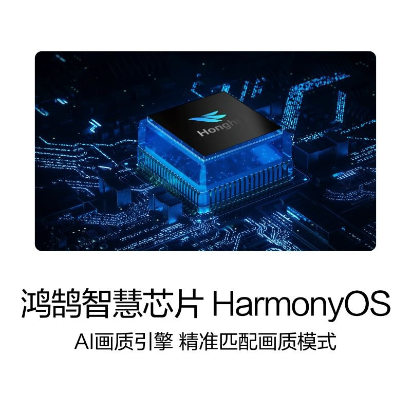 华为智慧屏 V65挂架版 HEGE-560 65英寸4K超高清人工智能液晶平板电视 4+64GB AI摄像头 智慧音响