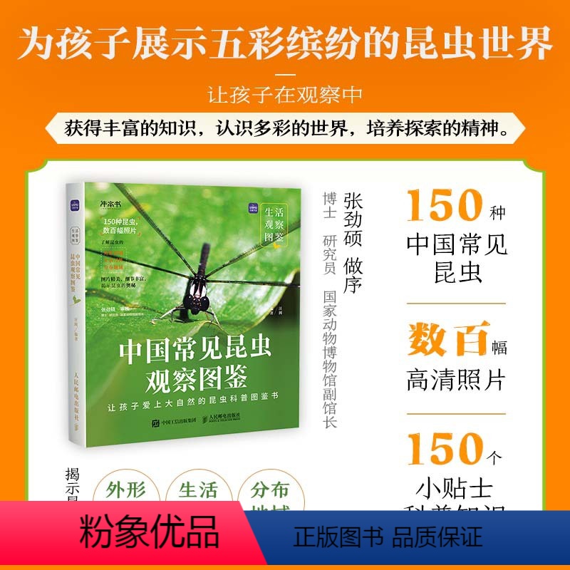 生活观察图鉴 中国常见昆虫观察图鉴 昆虫科普图鉴 观察昆虫细节 学好生物*步 [正版]生活观察图鉴 中国常见昆虫观察图鉴