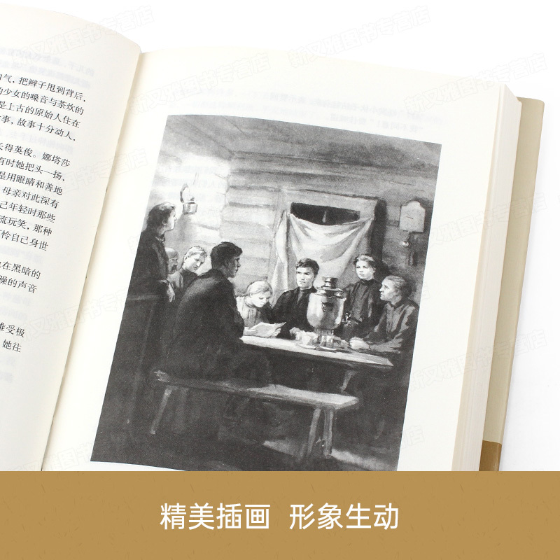 我的大学[精装版] [正版]高尔基童年在人间我的大学母亲三部曲四部曲原著精装全套4册七八九年级初中高中生高一必读世界名著