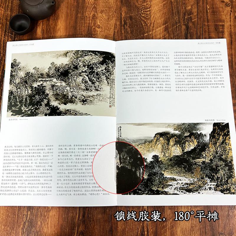 [正版图书]施云翔山水画技法讲座-写生篇 白描画谱勾勒解析/国画水墨画临摹画册绘画书籍/初学者毛笔绘画美术入门教程/中国高清大图