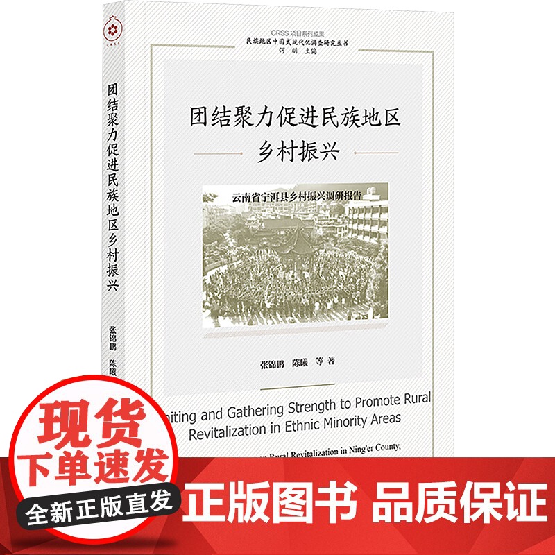 团结聚力促进民族地区乡村振兴 云南省宁洱县乡村振兴调研报告