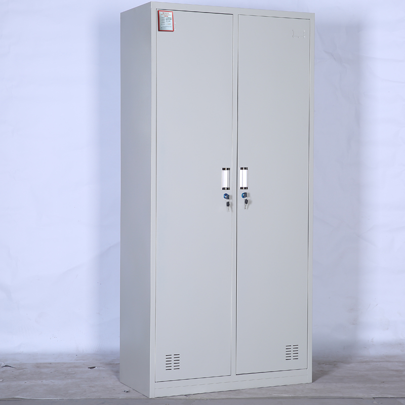 东业家具 办公文件柜二门钢制更衣柜 铁皮柜DY-01G (850*420*1800)个高清大图