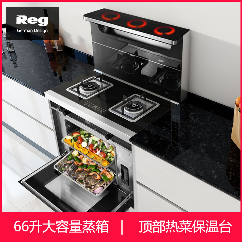 Reg/雷哲集成灶蒸烤箱一体下排式抽油烟机燃气灶一体灶家用智能K6