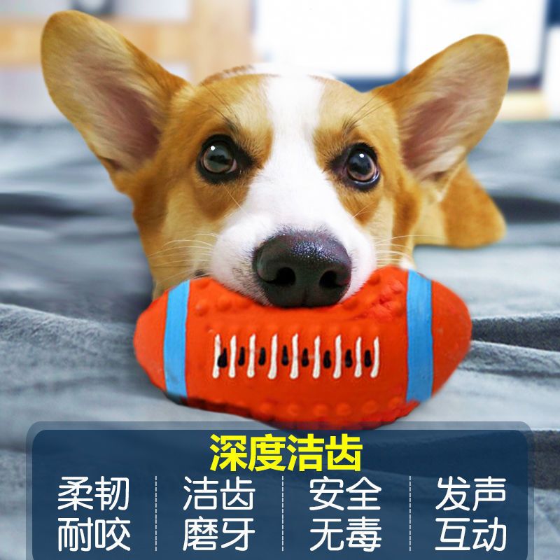乳胶发声球狗狗玩具耐咬宠物用品狗玩具宠物玩具金毛用品玩具球 橄榄球1个(乳胶材质) 适用于小狗狗(0-10斤)